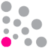 Richard-Allan Scientific LLC