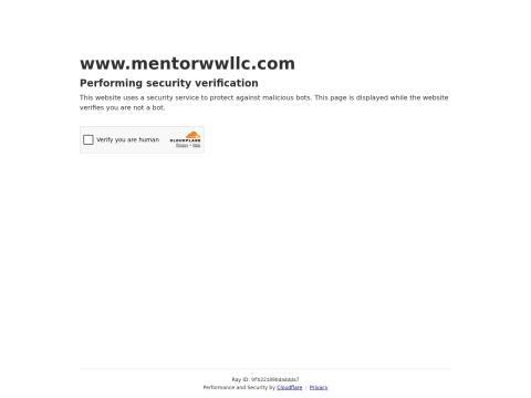 Mentor Medical Systems B.V.